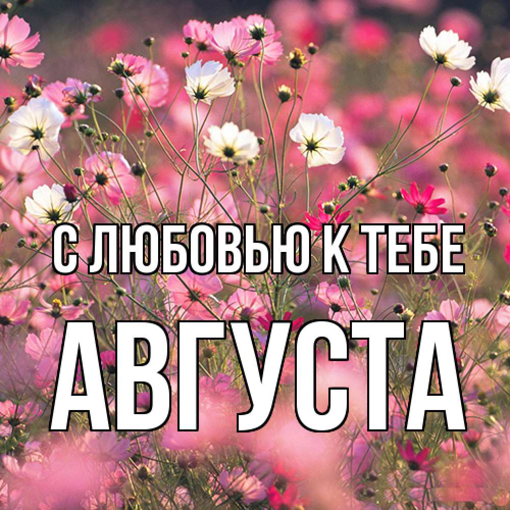 Открытка  с именем. Августа, С любовью к тебе  