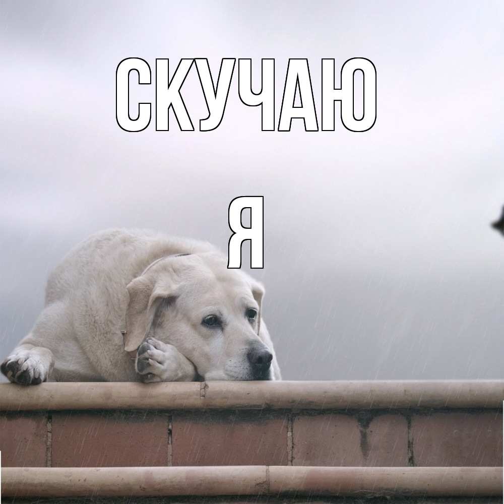 Открытка  с именем. Я, Скучаю  