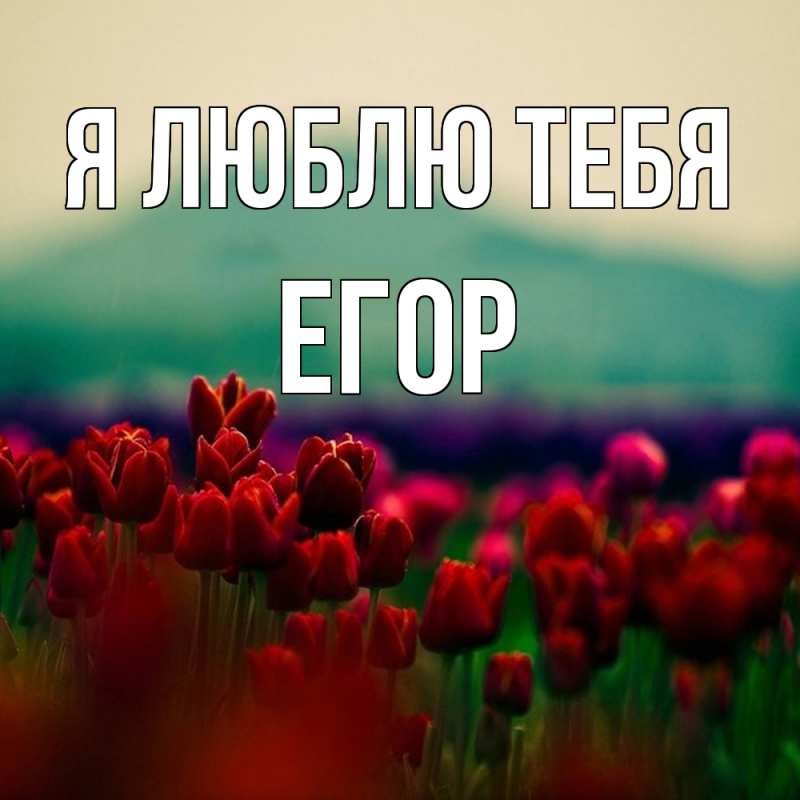 Картинка Я люблю тебя, Егор