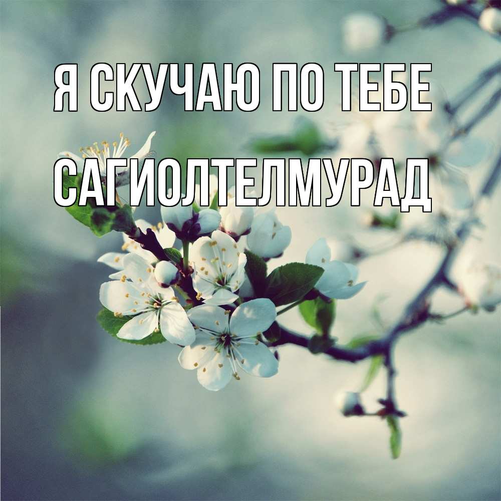 Открытка  с именем. САГИОЛТЕЛМУРАД, Я скучаю по тебе  