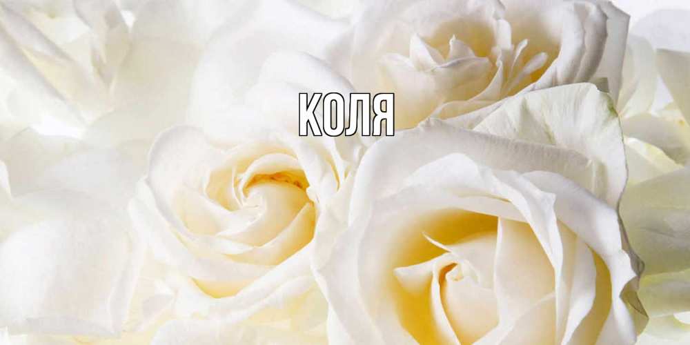 Открытка  с именем. коля, Главная  