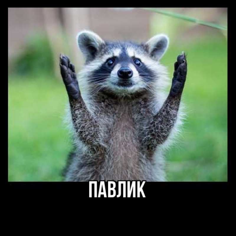 Картинка  с именем , Павлик