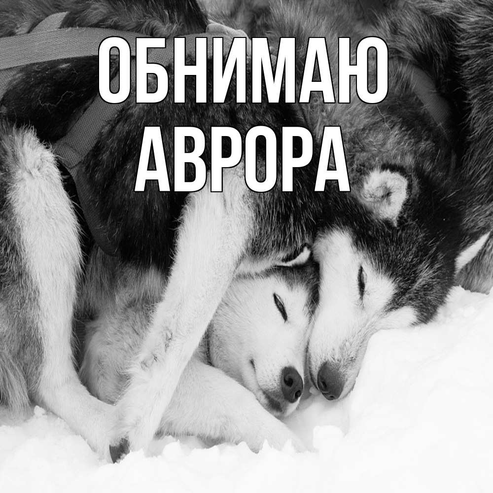 Открытка  с именем. Аврора, Обнимаю  