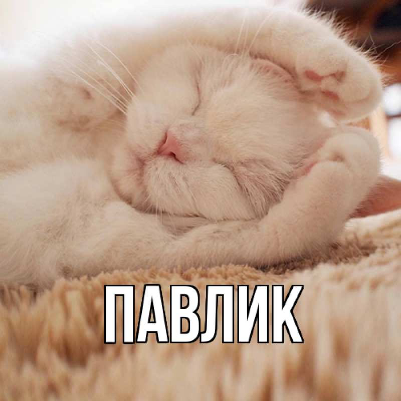 Картинка  с именем , Павлик
