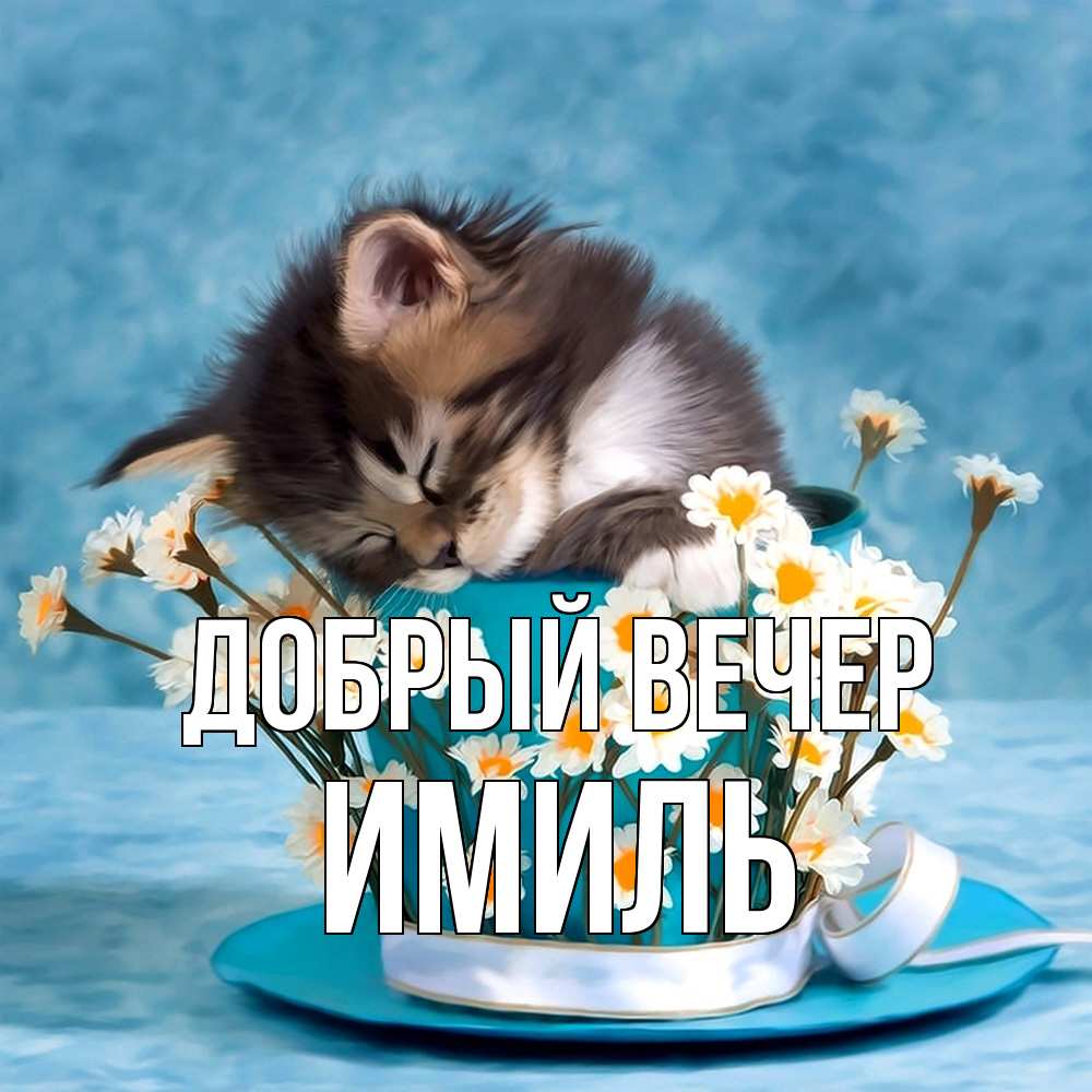 Открытка  с именем. Имиль, Добрый вечер  