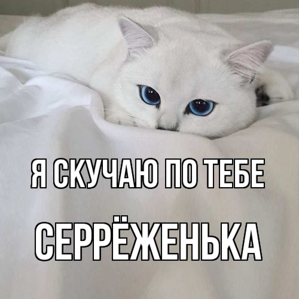 Открытка  с именем. Серрёженька, Я скучаю по тебе  