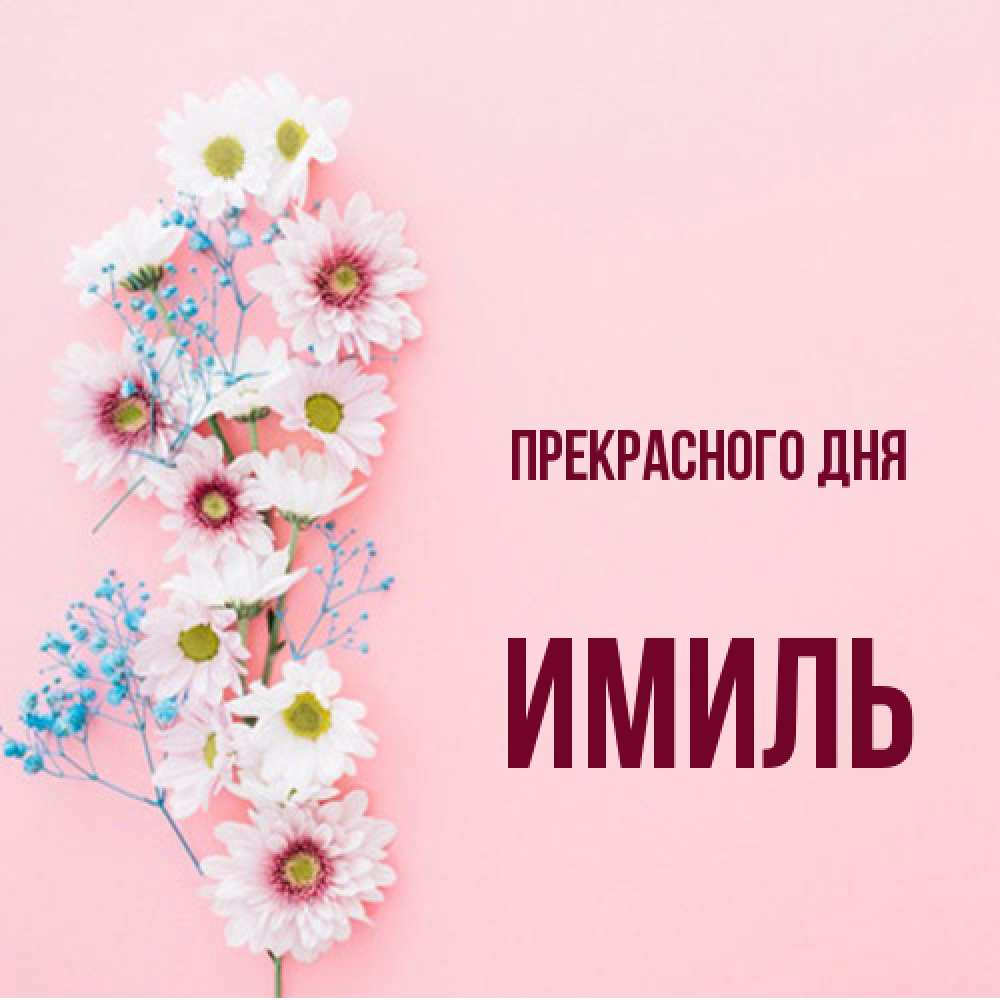 Открытка  с именем. Имиль, Прекрасного дня  