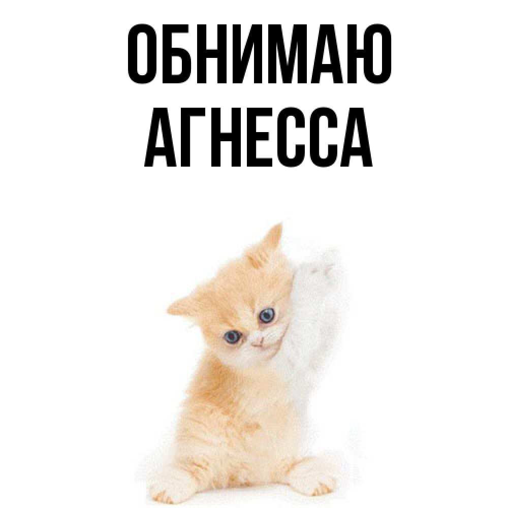 Открытка  с именем. Агнесса, Обнимаю  