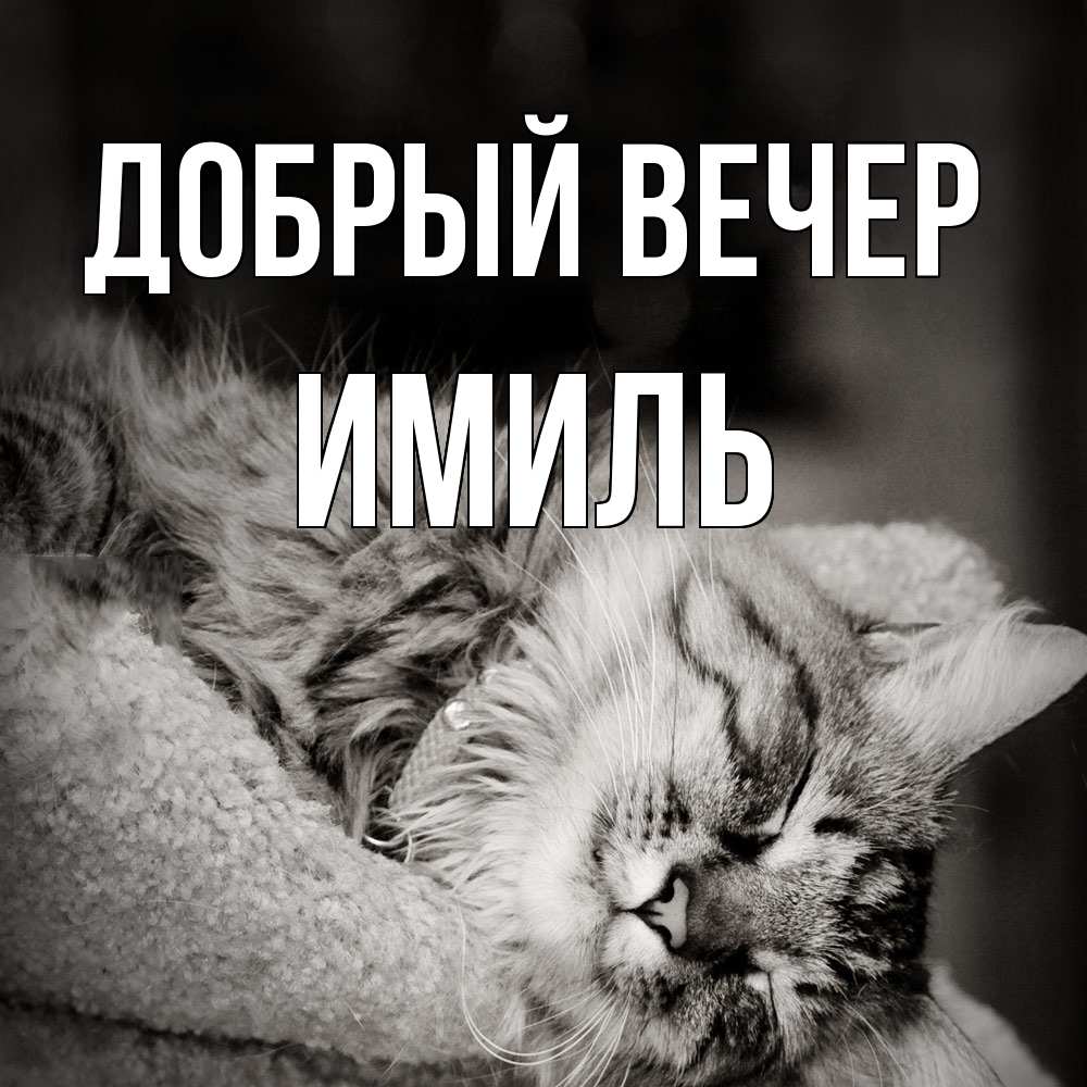 Открытка  с именем. Имиль, Добрый вечер  