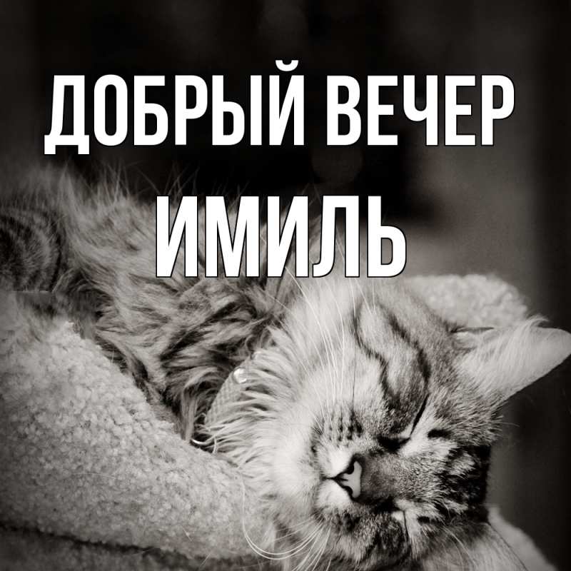 Картинка Добрый вечер, Имиль