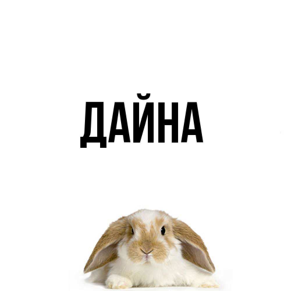 Открытка  с именем. Дайна, Главная  