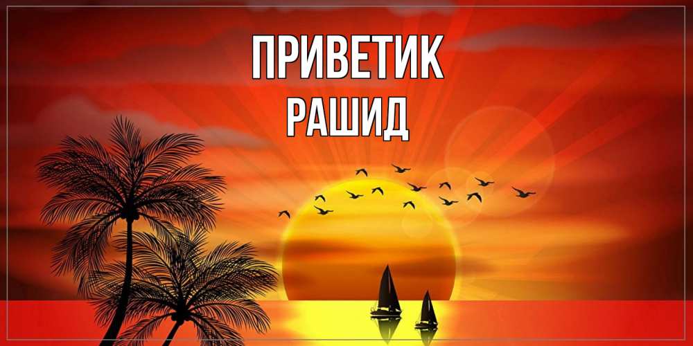 Открытка  с именем. Рашид, приветик  