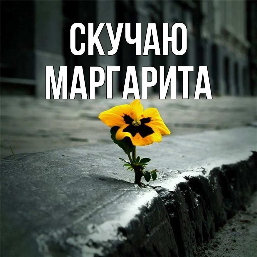 Открытка  с именем. Маргарита, Скучаю  