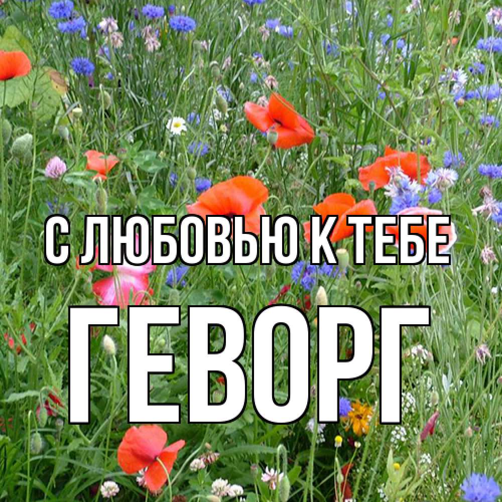 Открытка  с именем. Геворг, С любовью к тебе  