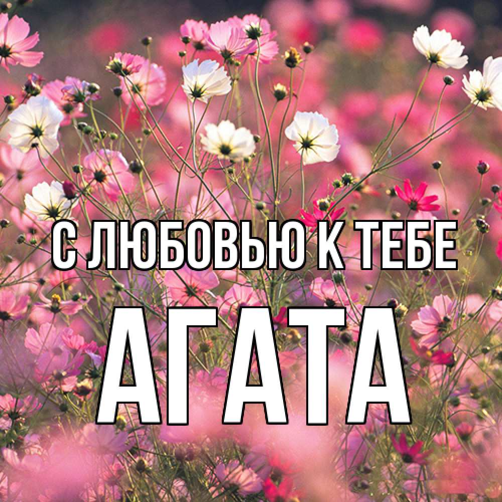 Открытка  с именем. Агата, С любовью к тебе  