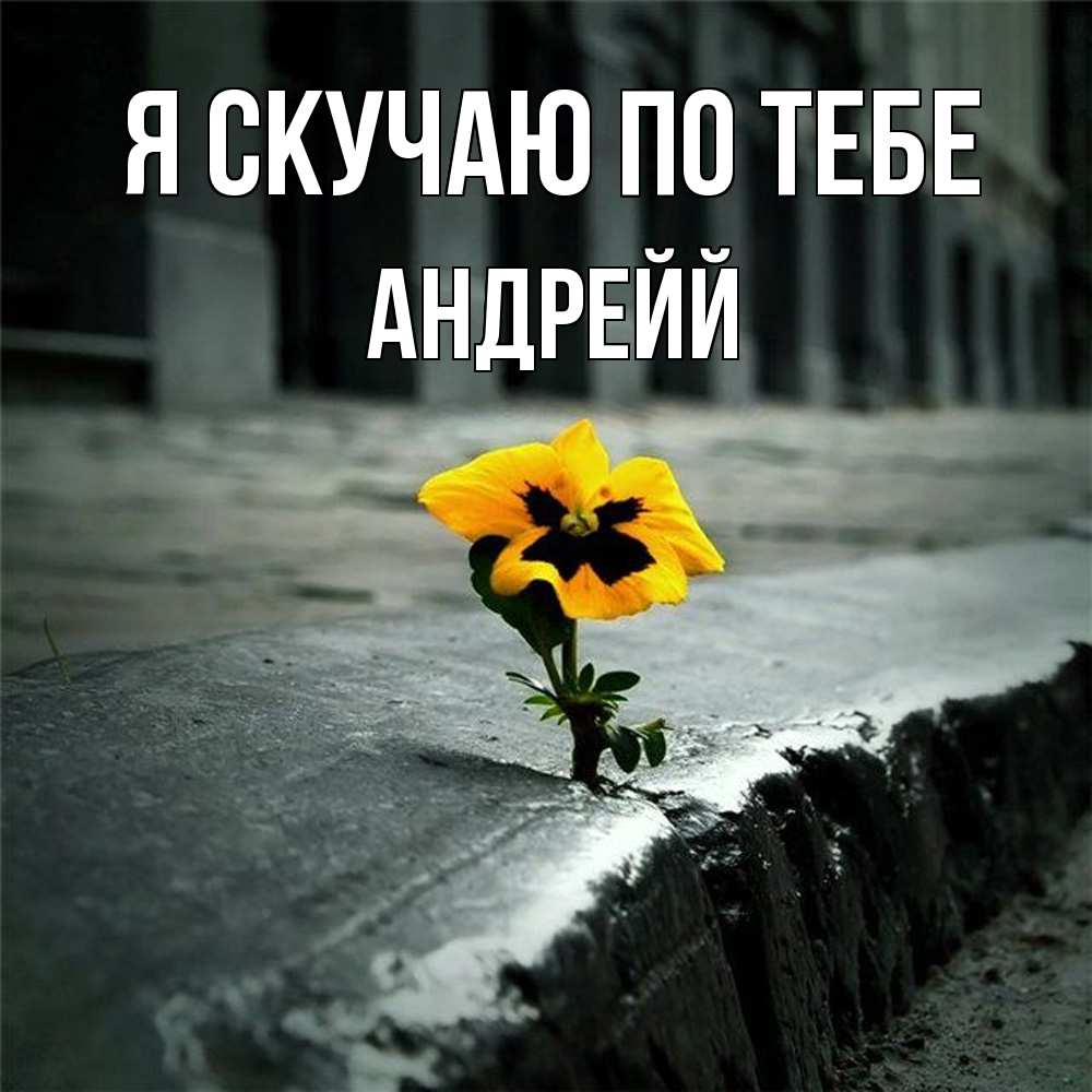 Открытка  с именем. Андрейй, Я скучаю по тебе  