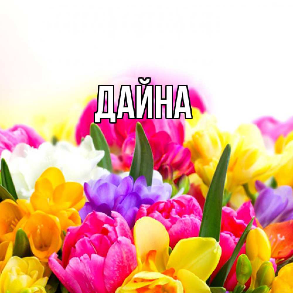 Открытка  с именем. Дайна, Главная  