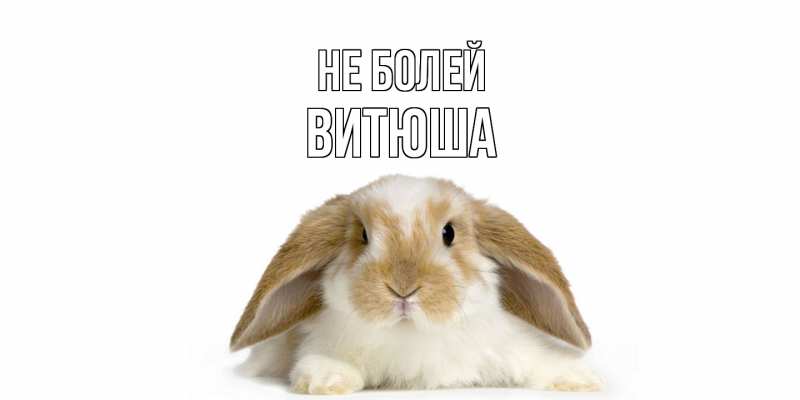 Картинка Не болей, Витюша
