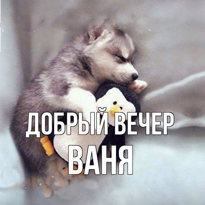 Картинка Добрый вечер, ваня