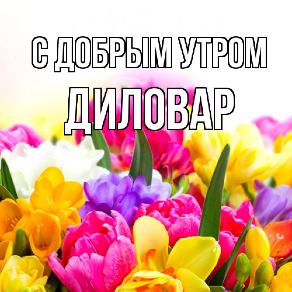 Открытка  с именем. Диловар, С добрым утром  