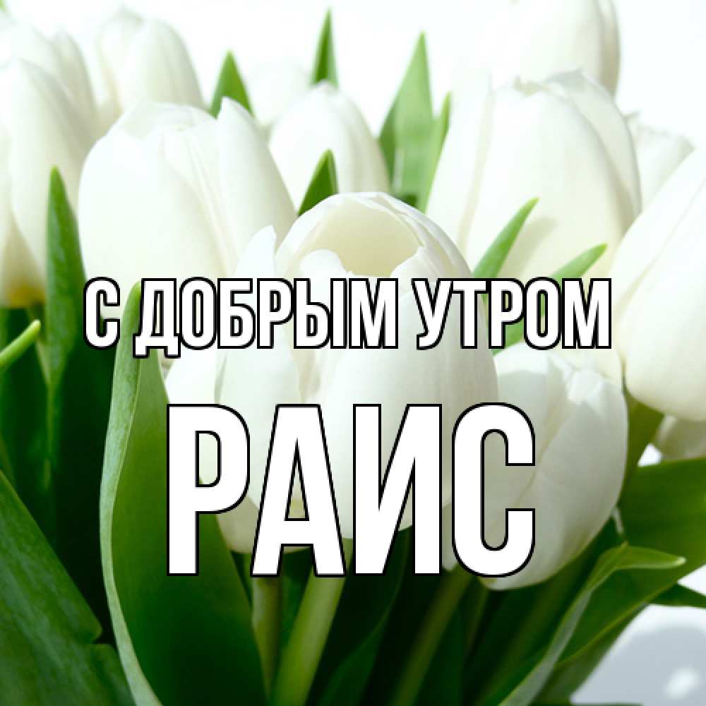 Открытка  с именем. Раис, С добрым утром  