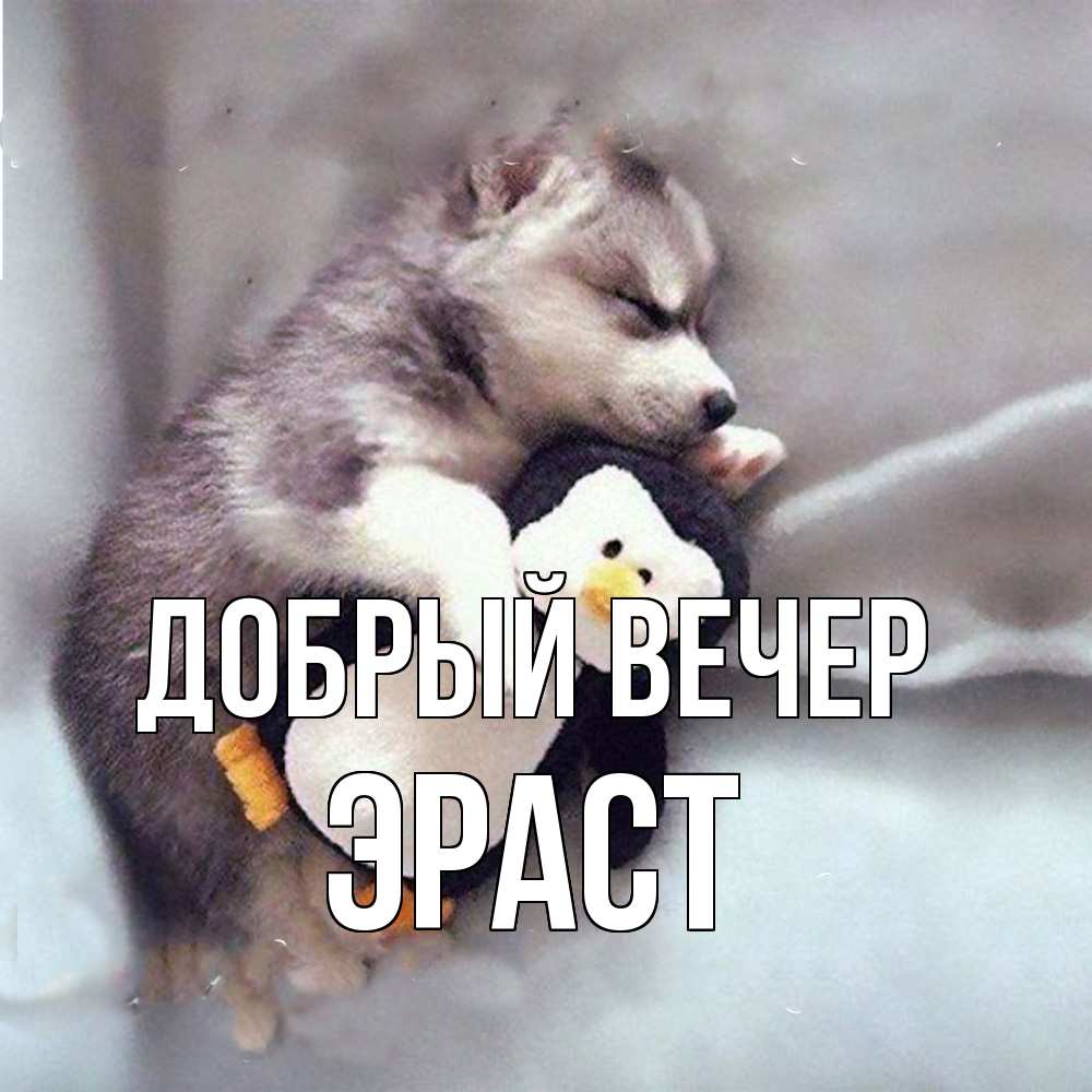 Открытка  с именем. Эраст, Добрый вечер  