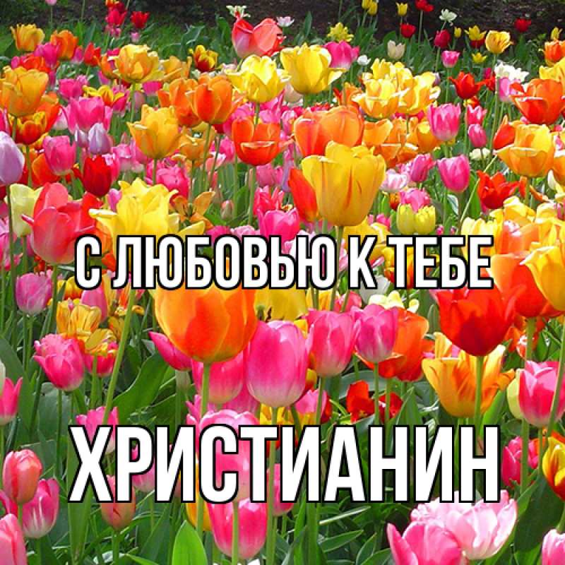 Картинка С любовью к тебе, Христианин