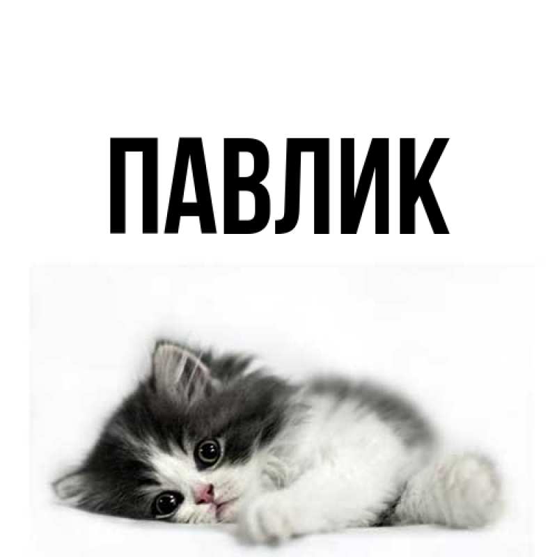 Картинка  с именем , Павлик