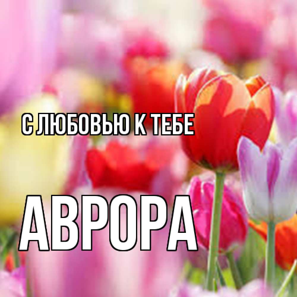 Открытка  с именем. Аврора, С любовью к тебе  