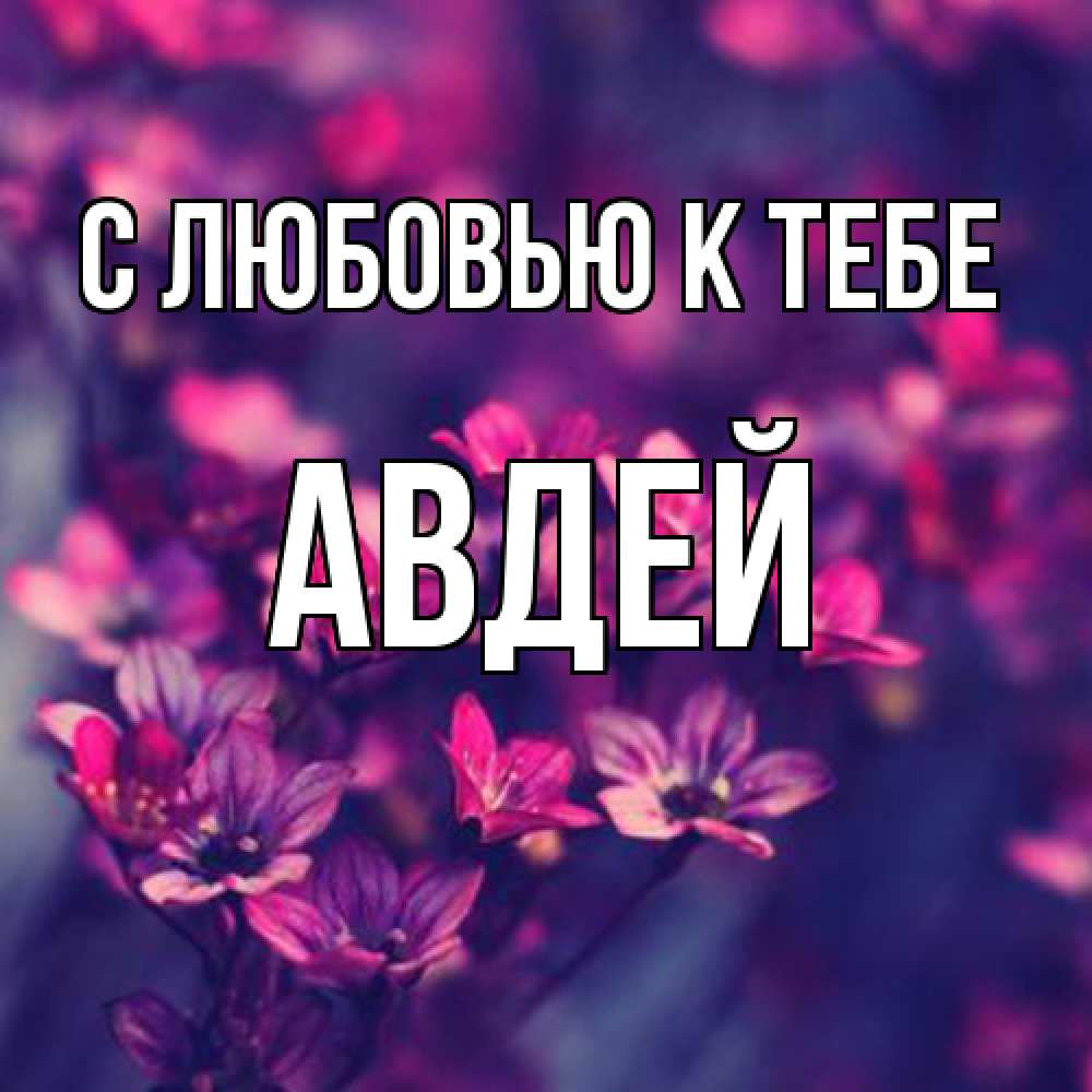 Открытка  с именем. Авдей, С любовью к тебе  