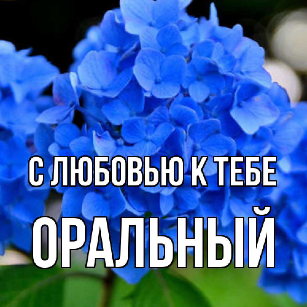 Открытка  с именем. ОРАЛЬНЫЙ, С любовью к тебе  