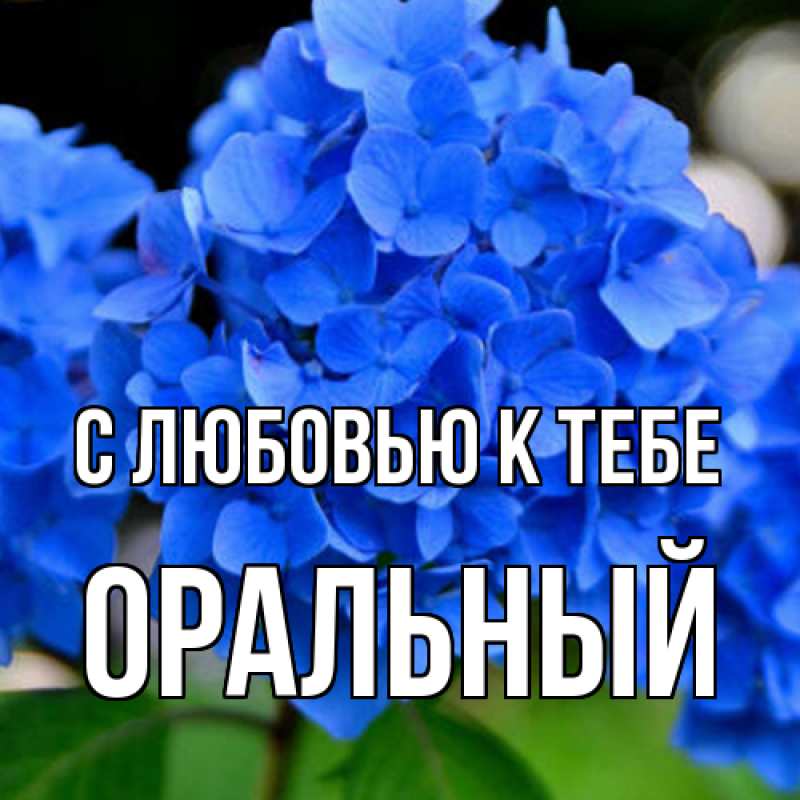 Картинка С любовью к тебе, ОРАЛЬНЫЙ