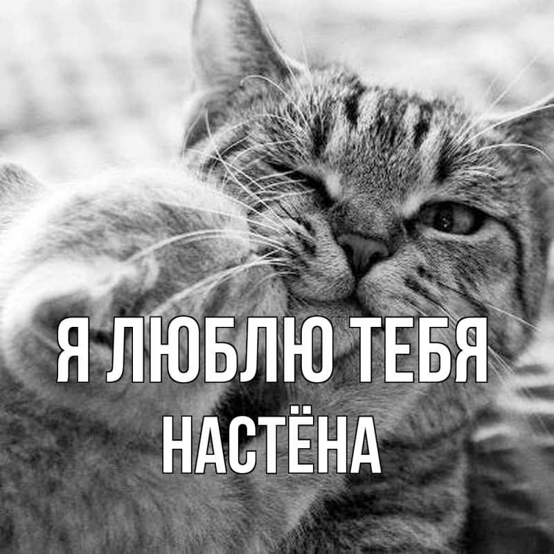 Открытка с именем, Настёна, Я люблю тебя