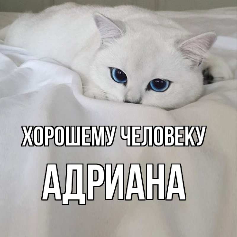 Картинка Хорошему человеку, Адриана