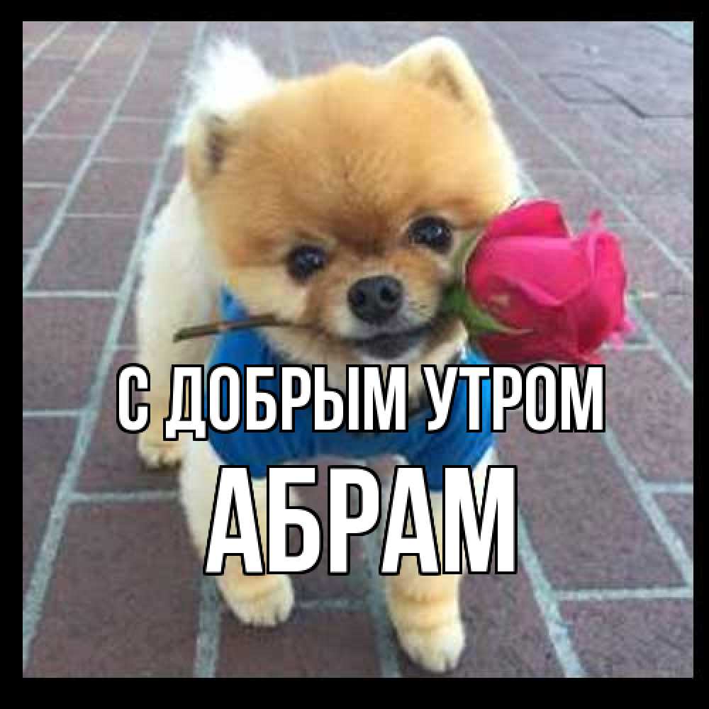 Открытка  с именем. Абрам, С добрым утром  