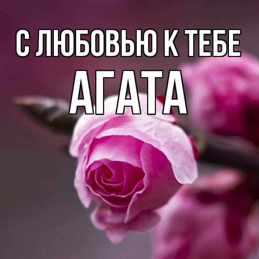 Открытка  с именем. Агата, С любовью к тебе  