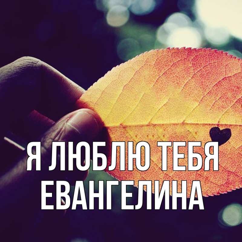Картинка Я люблю тебя, Евангелина
