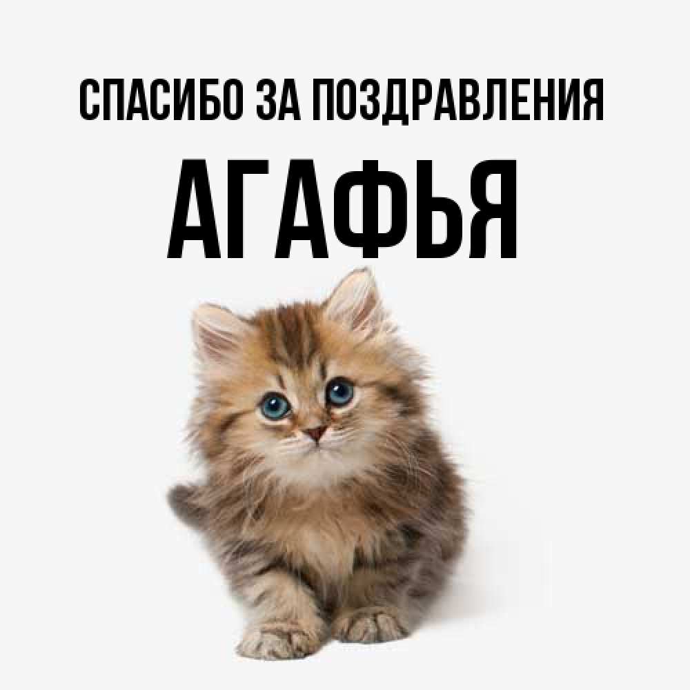 Открытка  с именем. Агафья, Спасибо за поздравления  