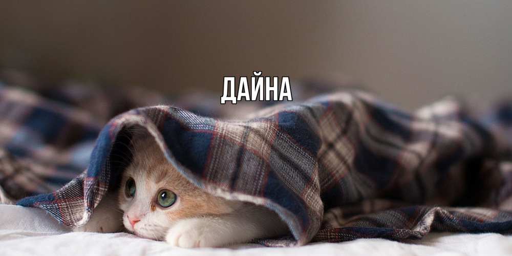 Открытка  с именем. Дайна, Главная  