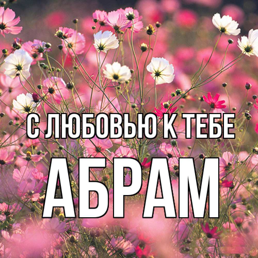 Открытка  с именем. Абрам, С любовью к тебе  