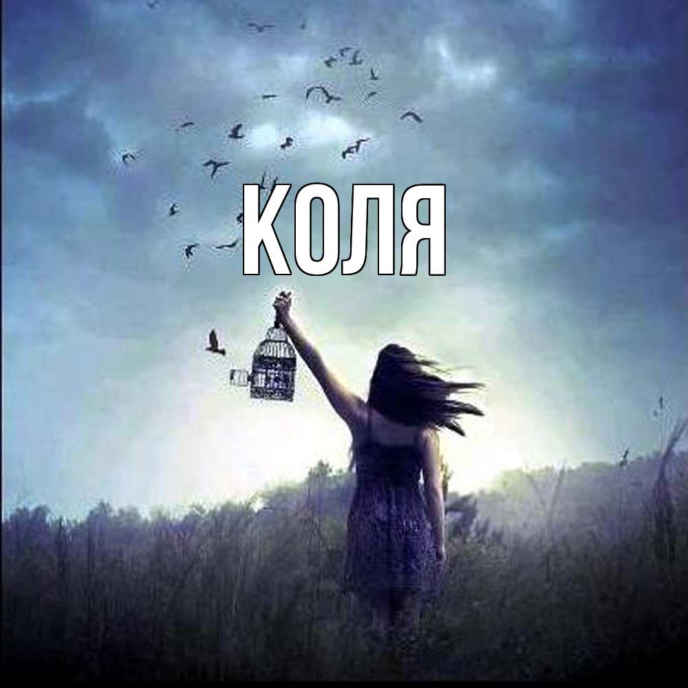 Открытка  с именем. коля, Главная  