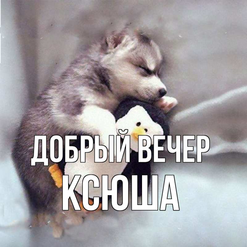 Картинка Добрый вечер, Ксюша