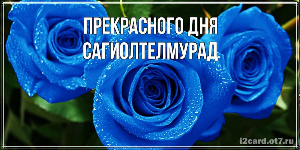 Открытка  с именем. САГИОЛТЕЛМУРАД, Прекрасного дня  