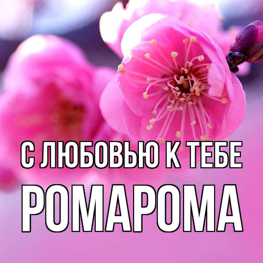 Открытка  с именем. РомаРома, С любовью к тебе  