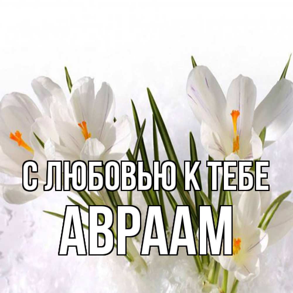 Открытка  с именем. Авраам, С любовью к тебе  