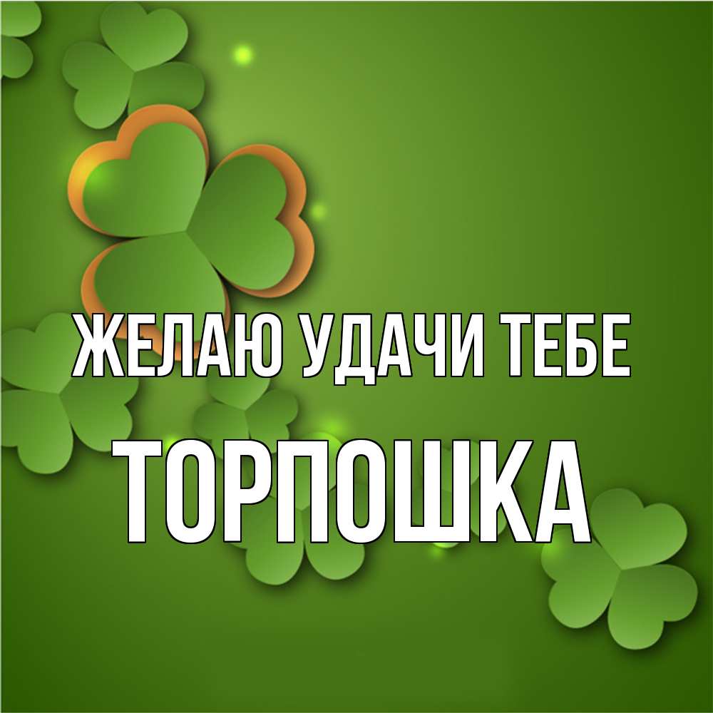 Открытка  с именем. торпошка, Желаю удачи тебе  
