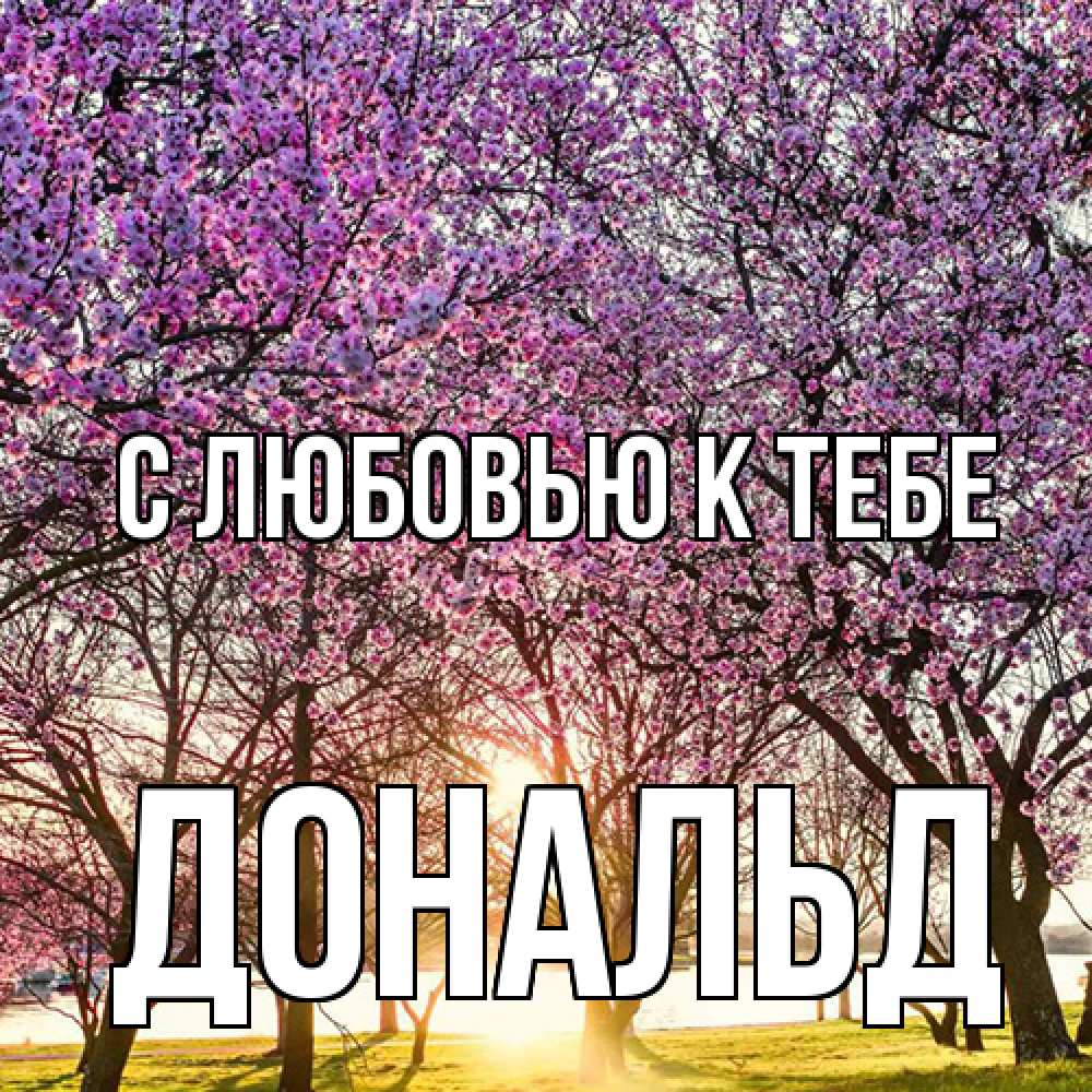 Открытка  с именем. Дональд, С любовью к тебе  