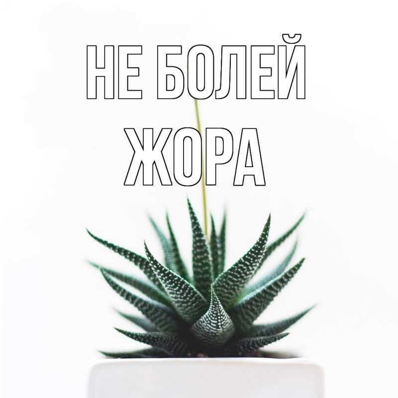 Картинка Не болей, Жора