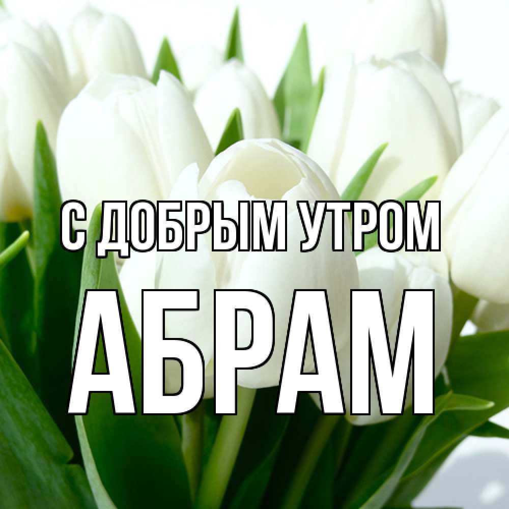 Открытка  с именем. Абрам, С добрым утром  