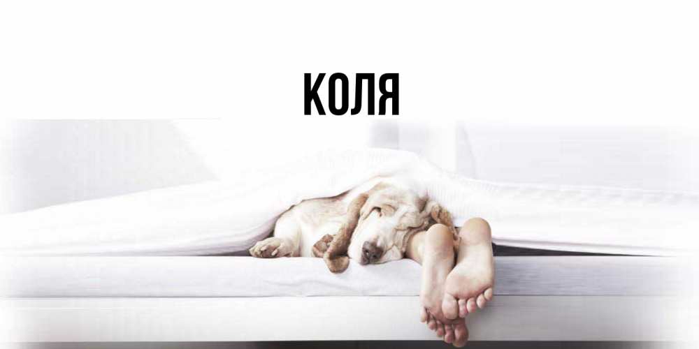 Открытка  с именем. коля, Главная  